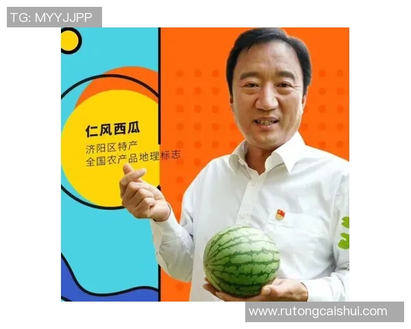 杭州网球队的蜕变与崛起：从传统到现代的全新征程